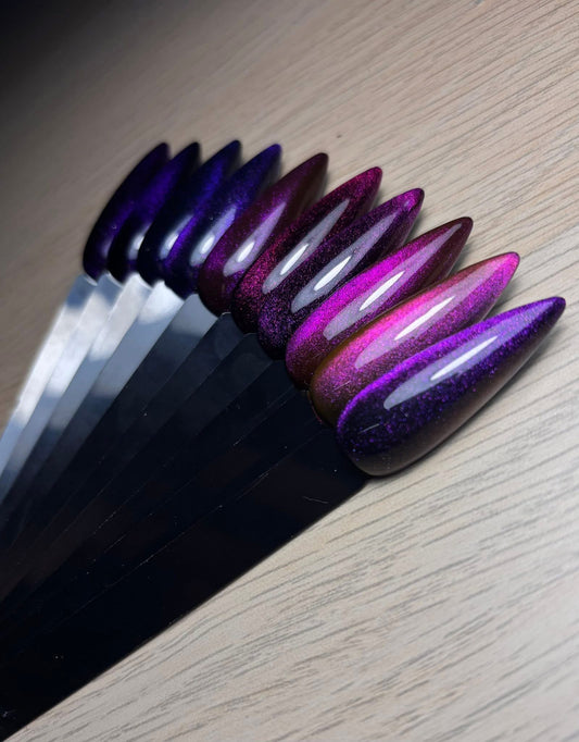 Drag Queen Collection