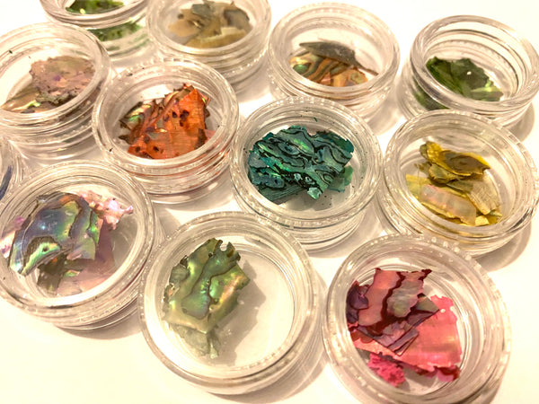 Opal Shell Collection